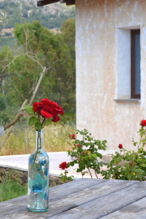 Galtellì Agriturismo Rubinu חדר תמונה