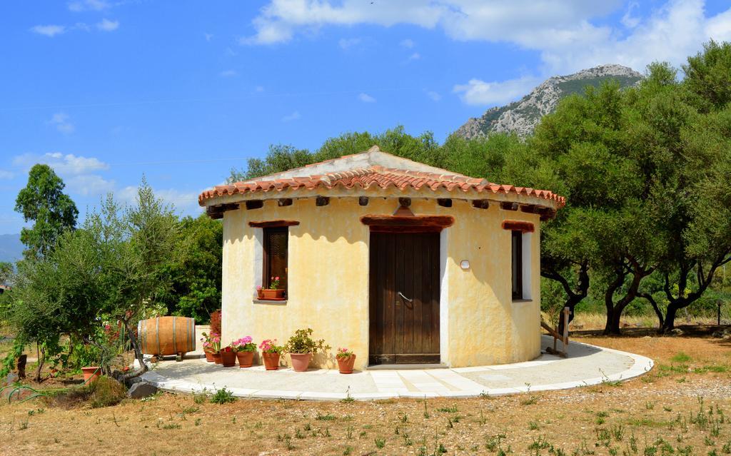 Galtellì Agriturismo Rubinu חדר תמונה
